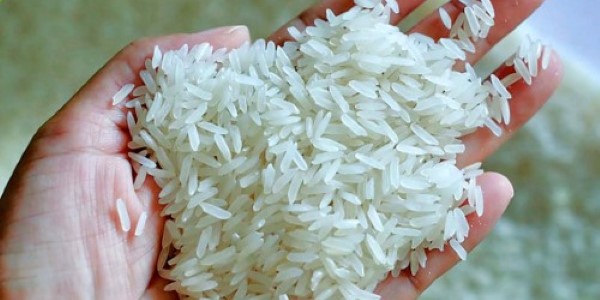 تصویر 3 از خرید و قیمت برنج طارم فریدونکنار + فروش صادراتی